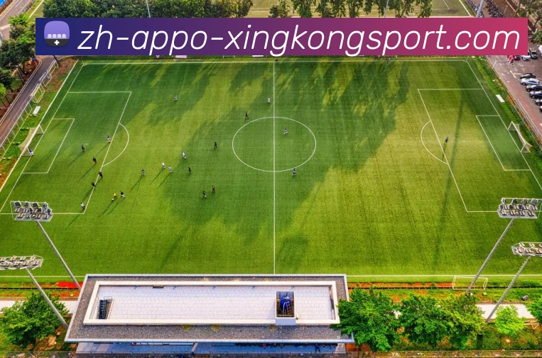 多媒体互动体验