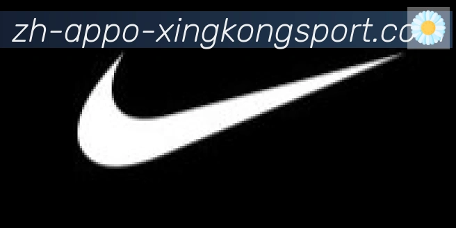 星空体育app合作伙伴
